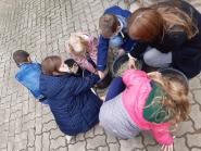 WhatsAppImage2021-10-08at134932